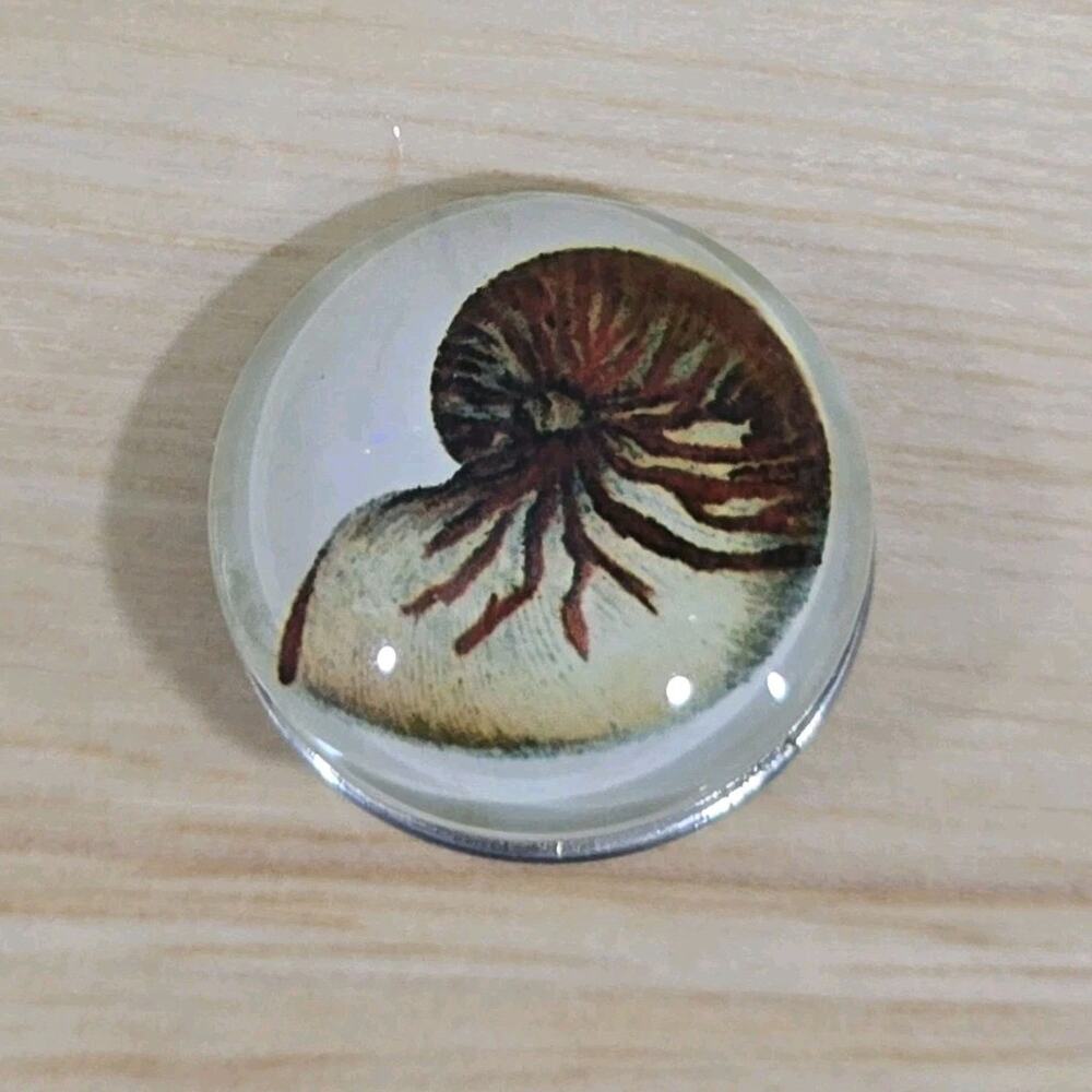 Snap Jewelry Nautilus Shell Button Charm fits Ginger Snaps Noosa 18mm-20mm
